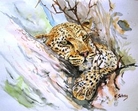 Gepard 24x30.jpg