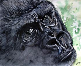 Gorilla 24x30.jpg