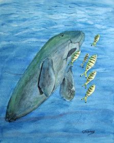 Seekuh 24x30.jpg