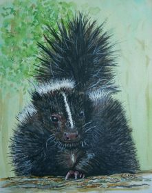 Stinktier 24x30.jpg