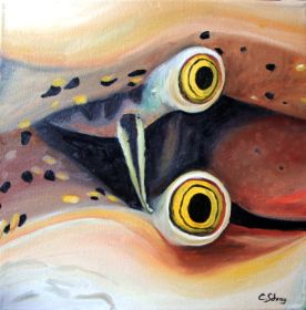 Auge von Seeschnecke.jpg