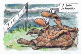 5-23 Welt Schildkröten Tag.jpg