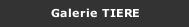 Galerie TIERE